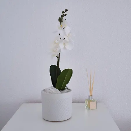 شقة Turismobilbao2024