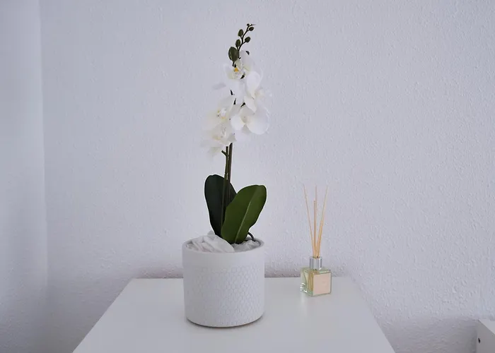 Apartment Turismobilbao2024